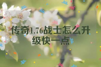 传奇1.76战士怎么升级快一点