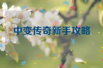 中变传奇新手攻略