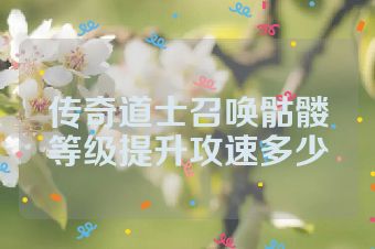 传奇道士召唤骷髅等级提升攻速多少