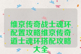 维京传奇战士魂环配置攻略维京传奇道士魂环搭配攻略大全