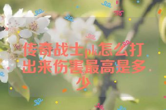 传奇战士pk怎么打出来伤害最高是多少