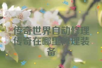 传奇世界自动修理传奇在哪里修理装备