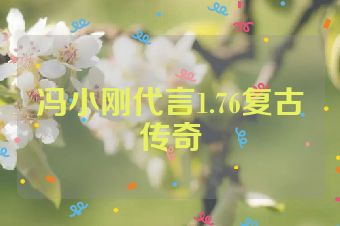 冯小刚代言1.76复古传奇