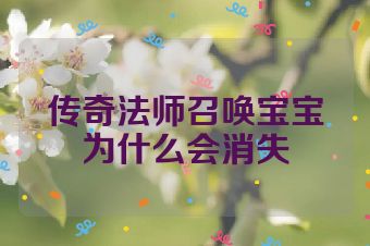 传奇法师召唤宝宝为什么会消失
