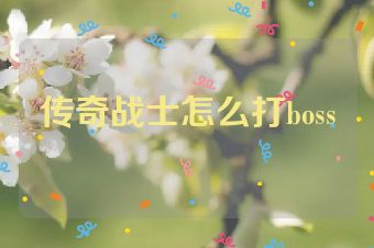 传奇战士怎么打boss