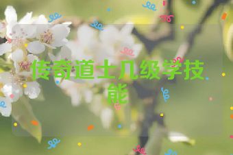 传奇道士几级学技能