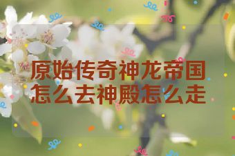原始传奇神龙帝国怎么去神殿怎么走