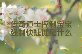 传奇道士控制宝宝强制快捷键是什么