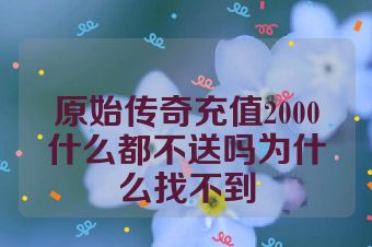 原始传奇充值2000什么都不送吗为什么找不到