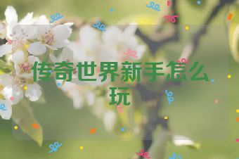 传奇世界新手怎么玩
