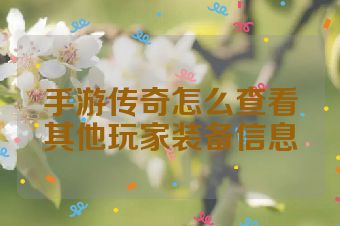 手游传奇怎么查看其他玩家装备信息