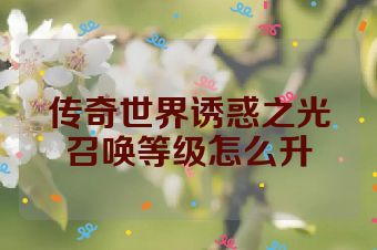 传奇世界诱惑之光召唤等级怎么升