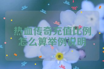 热血传奇充值比例怎么算举例说明