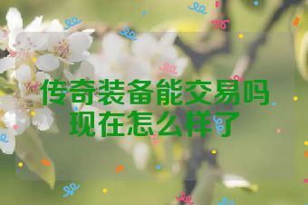 传奇装备能交易吗现在怎么样了