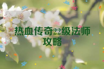 热血传奇22级法师攻略