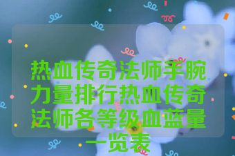 热血传奇法师手腕力量排行热血传奇法师各等级血蓝量一览表