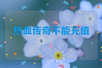 热血传奇不能充值