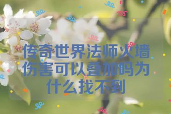 传奇世界法师火墙伤害可以叠加吗为什么找不到