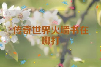 传奇世界火墙书在哪打
