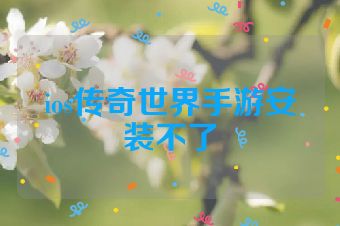ios传奇世界手游安装不了