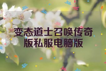 变态道士召唤传奇版私服电脑版