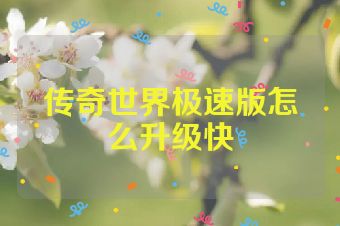 传奇世界极速版怎么升级快