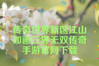传奇世界新区江山如画三界无双传奇手游官网下载