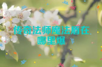 传奇法师魔法盾在哪里爆