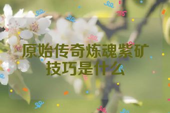 原始传奇炼魂紫矿技巧是什么