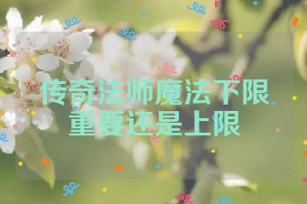 传奇法师魔法下限重要还是上限
