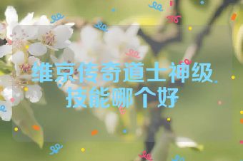 维京传奇道士神级技能哪个好