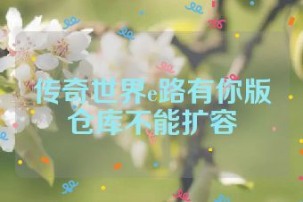 传奇世界e路有你版仓库不能扩容
