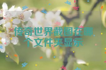 传奇世界截图在哪个文件夹显示