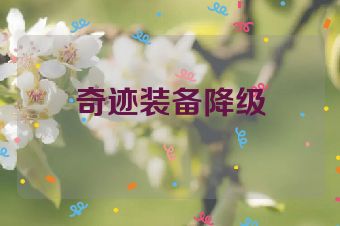 奇迹装备降级