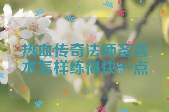 热血传奇法师圣言术怎样练得快一点