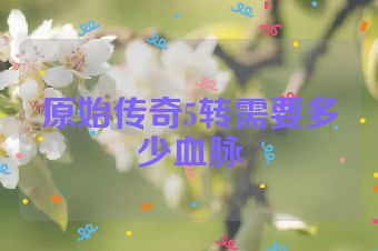 原始传奇5转需要多少血脉