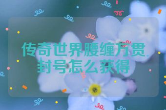传奇世界腰缠万贯封号怎么获得