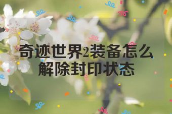 奇迹世界2装备怎么解除封印状态