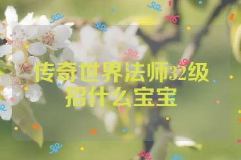 传奇世界法师32级招什么宝宝