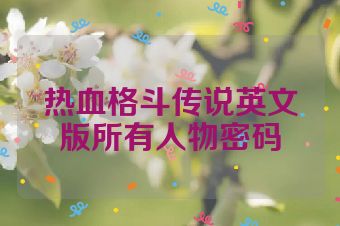 热血格斗传说英文版所有人物密码