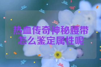 热血传奇神秘腰带怎么鉴定属性呢