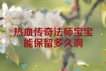 热血传奇法师宝宝能保留多久啊
