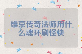 维京传奇法师用什么魂环刷怪快
