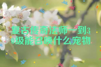 复古传奇法师一到30级能召唤什么宠物