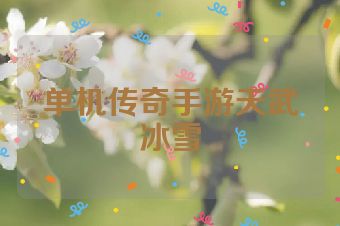 单机传奇手游天武冰雪
