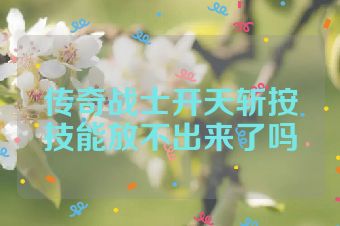 传奇战士开天斩按技能放不出来了吗