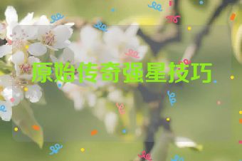 原始传奇强星技巧
