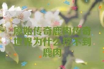 原始传奇鹿肉传奇世界为什么挖不到鹿肉