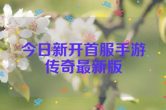 今日新开首服手游传奇最新版