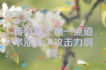 传奇道士加一点道术涨多少攻击力啊呢